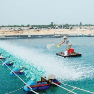 Hóa chất ngành thủy sản
