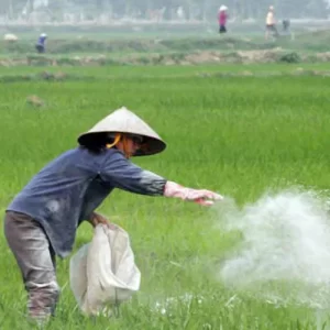 Hóa chất ngành nông nghiệp